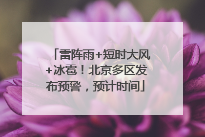 雷阵雨+短时大风+冰雹！北京多区发布预警，预计时间