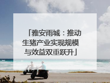 雅安雨城：推动生猪产业实现规模与效益双重跃升