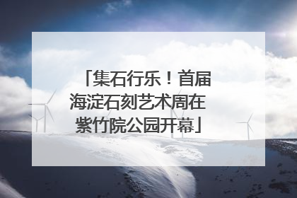 集石行乐！首届海淀石刻艺术周在紫竹院公园开幕