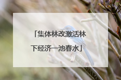 集体林改激活林下经济一池春水
