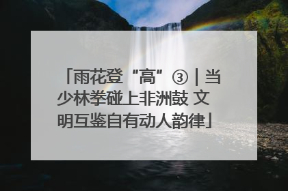 雨花登“高”③｜当少林拳碰上非洲鼓 文明互鉴自有动人韵律