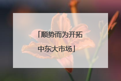 顺势而为开拓中东大市场