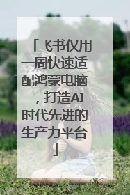 飞书仅用一周快速适配鸿蒙电脑，打造AI时代先进的生产力平台