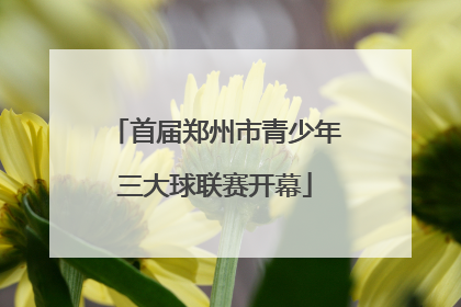 首届郑州市青少年三大球联赛开幕