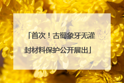 首次！古蜀象牙无灌封材料保护公开展出