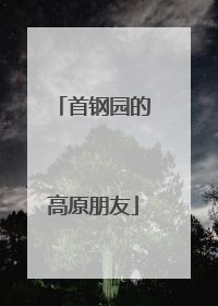 首钢园的高原朋友