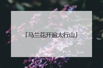 马兰花开遍太行山