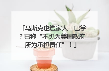 马斯克也遭家人一巴掌？已称“不想为美国政府所为承担责任”！