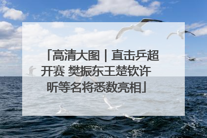 高清大图｜直击乒超开赛 樊振东王楚钦许昕等名将悉数亮相