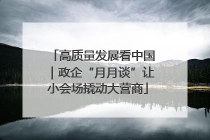 高质量发展看中国｜政企“月月谈”让小会场撬动大营商