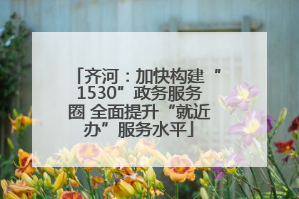 齐河：加快构建“1530”政务服务圈 全面提升“就近办”服务水平