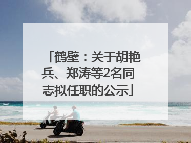 鹤壁：关于胡艳兵、郑涛等2名同志拟任职的公示