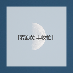 麦浪黄 丰收忙
