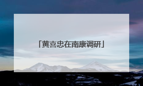 黄喜忠在南康调研