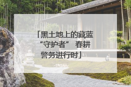 黑土地上的藏蓝“守护者” 春耕警务进行时