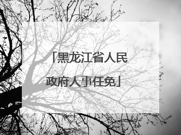 黑龙江省人民政府人事任免