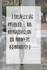 黑龙江省桦南县：精修绿韵绘新景 细护芳枝映晴空