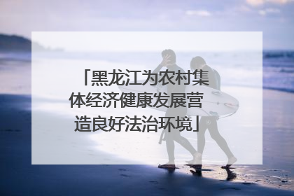 黑龙江为农村集体经济健康发展营造良好法治环境
