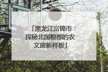 黑龙江富锦市：探秘北国粮都的农文旅新样板