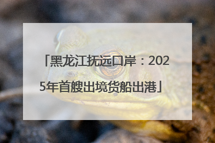 黑龙江抚远口岸：2025年首艘出境货船出港