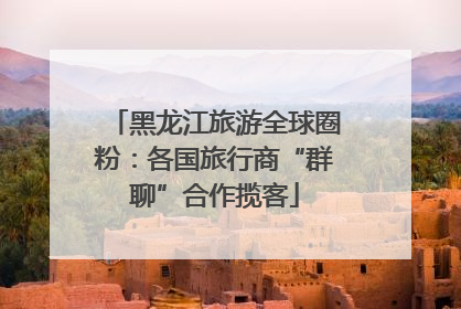 黑龙江旅游全球圈粉：各国旅行商“群聊”合作揽客