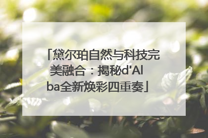黛尔珀自然与科技完美融合：揭秘d'Alba全新焕彩四重奏