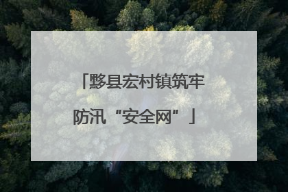 黟县宏村镇筑牢防汛“安全网”