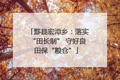 黟县宏潭乡：落实“田长制” 守好良田保“粮仓”