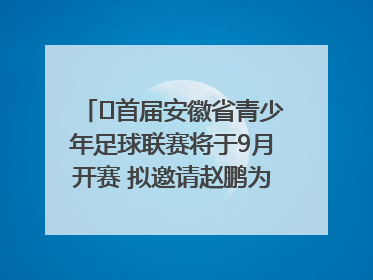 ﻿首届安徽省青少年足球联赛将于9月开赛 拟邀请赵鹏为先导赛开球
