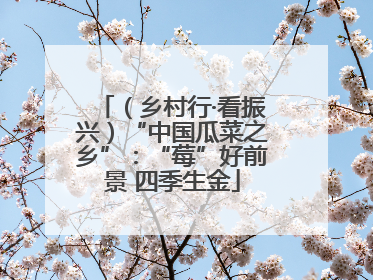 （乡村行·看振兴）“中国瓜菜之乡”：“莓”好前景 四季生金
