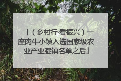 （乡村行·看振兴）一座肉牛小镇入选国家级农业产业强镇名单之后