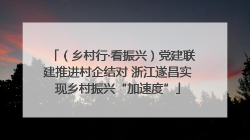 （乡村行·看振兴）党建联建推进村企结对 浙江遂昌实现乡村振兴“加速度”