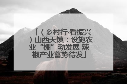 （乡村行·看振兴）山西天镇：设施农业“棚”勃发展 辣椒产业蓄势待发