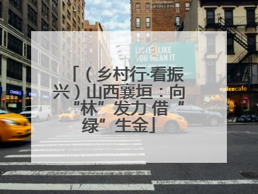 （乡村行·看振兴）山西襄垣：向“林”发力 借“绿”生金