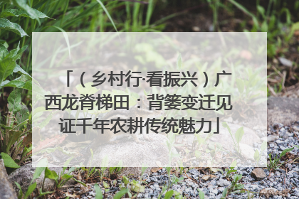（乡村行·看振兴）广西龙脊梯田：背篓变迁见证千年农耕传统魅力