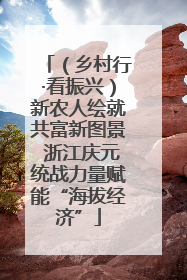 （乡村行·看振兴）新农人绘就共富新图景 浙江庆元统战力量赋能“海拔经济”