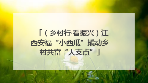 （乡村行·看振兴）江西安福“小西瓜”撬动乡村共富“大支点”