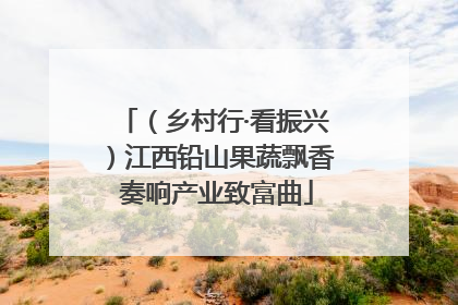 （乡村行·看振兴）江西铅山果蔬飘香 奏响产业致富曲