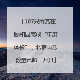 107只雨燕在颐和园完成“年度体检”，北京雨燕数量已超一万只
