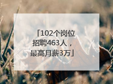 102个岗位招聘463人，最高月薪3万