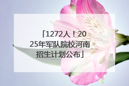 1272人！2025年军队院校河南招生计划公布