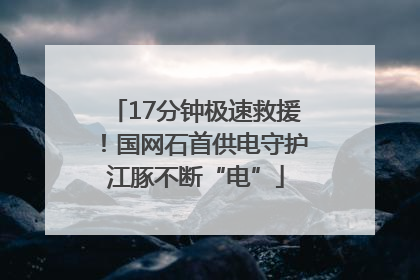 17分钟极速救援！国网石首供电守护江豚不断“电”