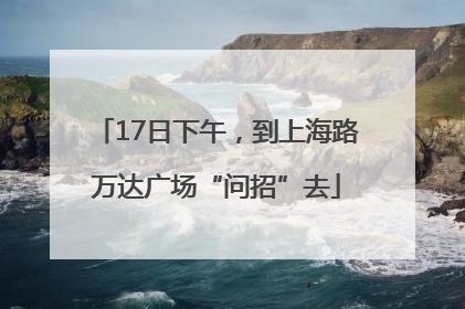 17日下午，到上海路万达广场“问招”去