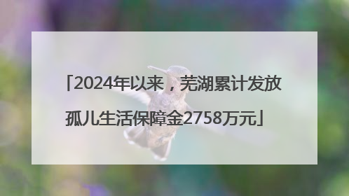 2024年以来，芜湖累计发放孤儿生活保障金2758万元