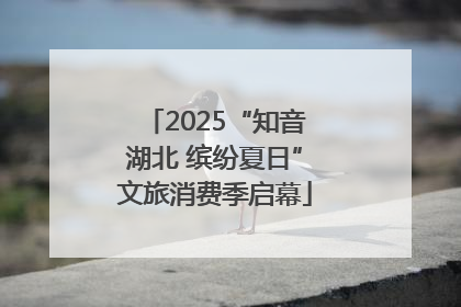 2025“知音湖北 缤纷夏日”文旅消费季启幕
