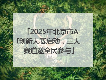 2025年北京市AI创新大赛启动，三大赛道邀全民参与