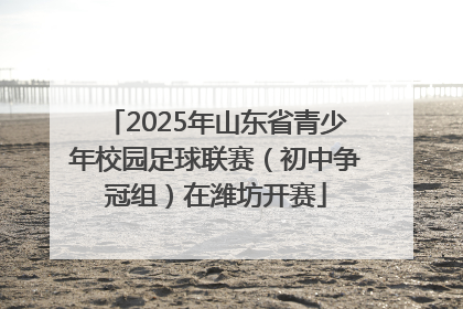 2025年山东省青少年校园足球联赛（初中争冠组）在潍坊开赛