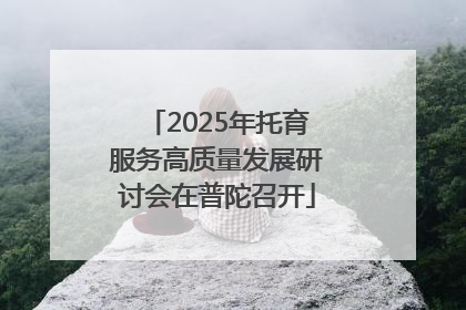2025年托育服务高质量发展研讨会在普陀召开