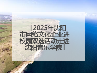 2025年沈阳市网络文化企业进校园双选活动走进沈阳音乐学院