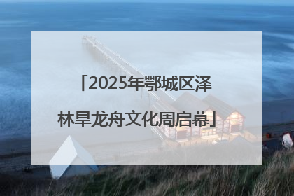 2025年鄂城区泽林旱龙舟文化周启幕